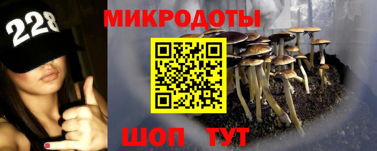Псилоцибиновые грибы GOLDEN TEACHER Назрань