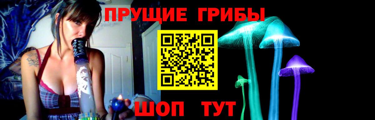 Галлюциногенные грибы Cubensis  Псилоцибиновые грибы Cubensis  Вход с VPN  Назрань 